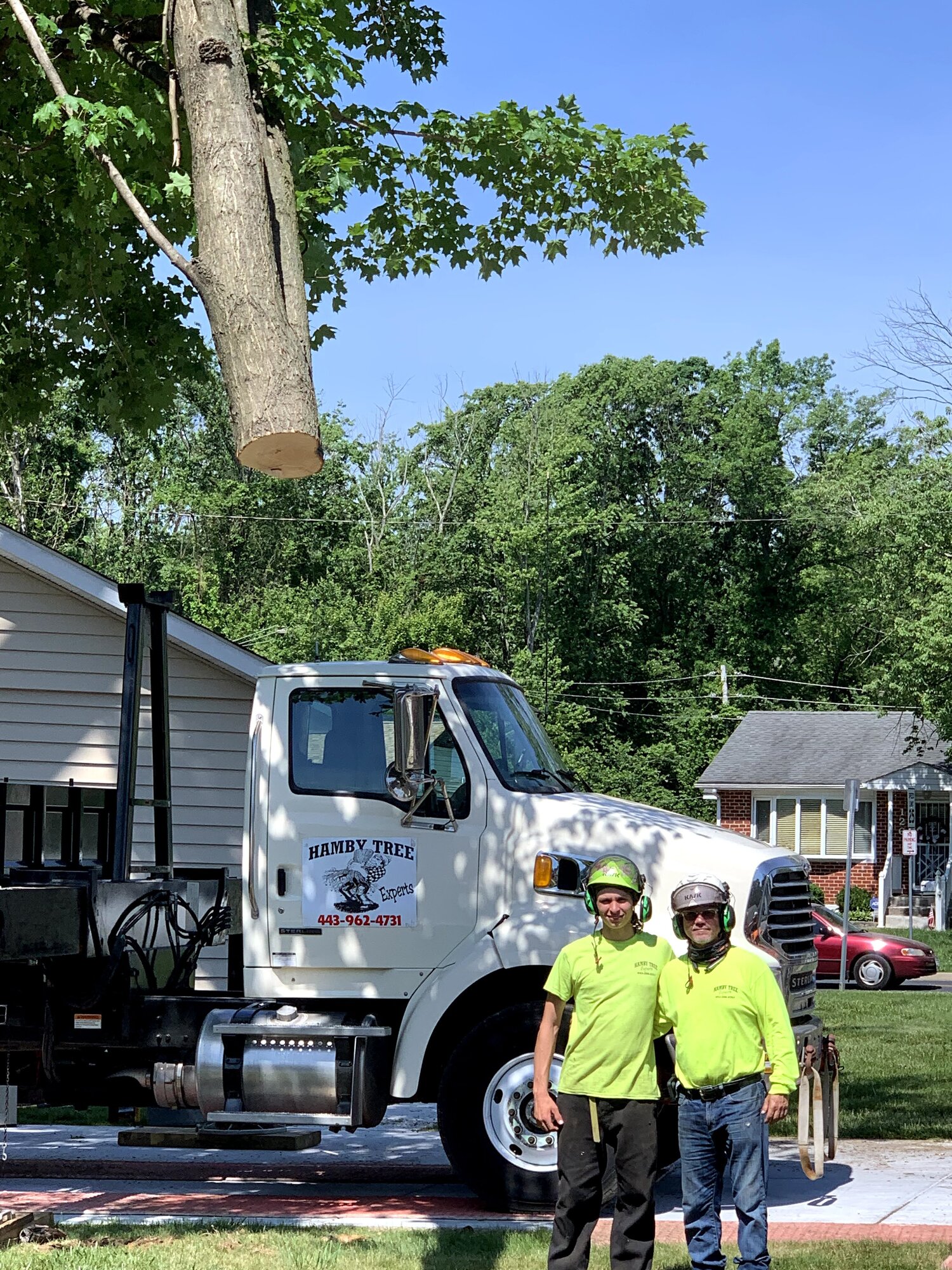 Finding the Right Tree Removal Experts